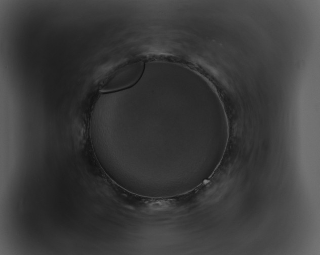 X0000100411303200806061332