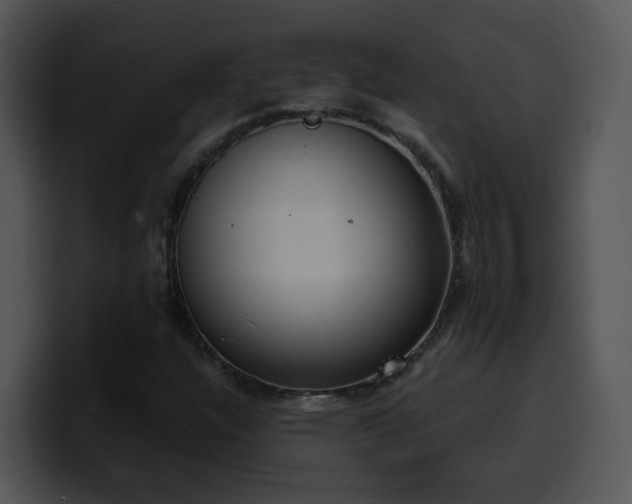 X0000100411304200806061333