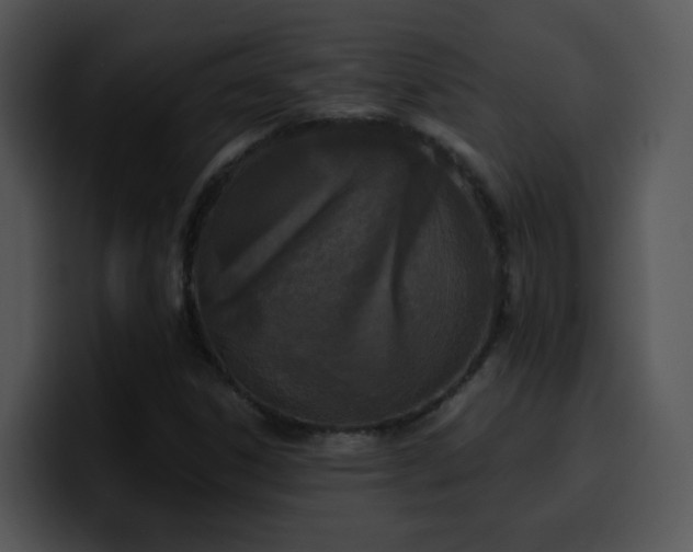 X0000100411306200806061333