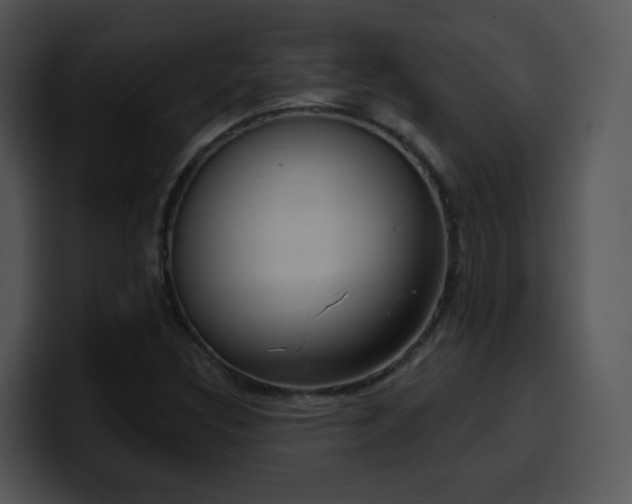 X0000100411308200806061333