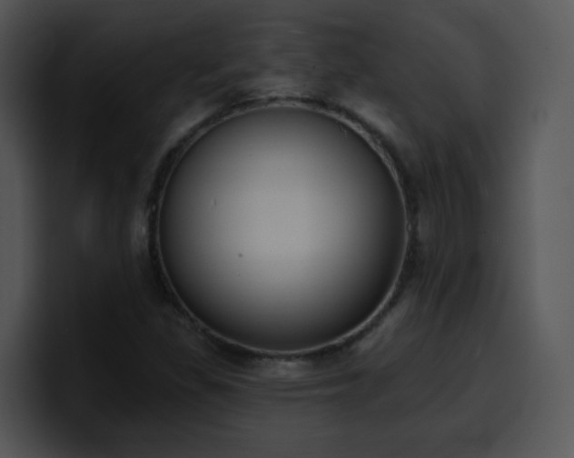 X0000100411309200806061333