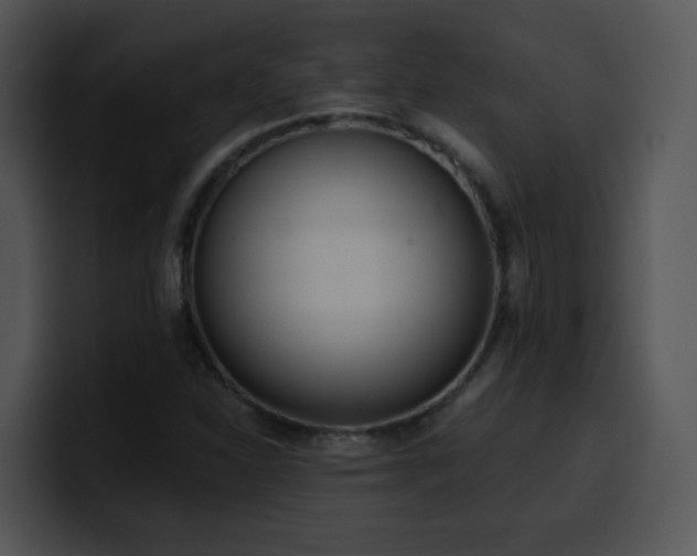 X0000100411310200806061333