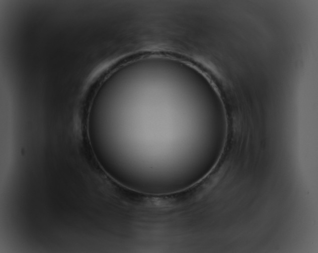 X0000100411311200806061333