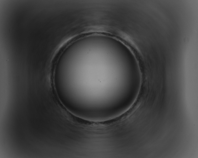 X0000100411312200806061333