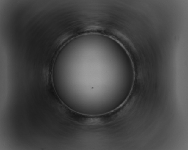 X0000100411313200806061333