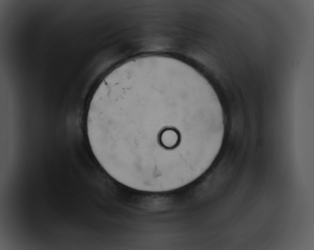 X0000100411314200806061333