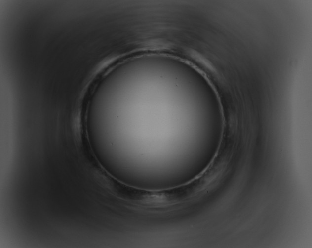 X0000100411315200806061333