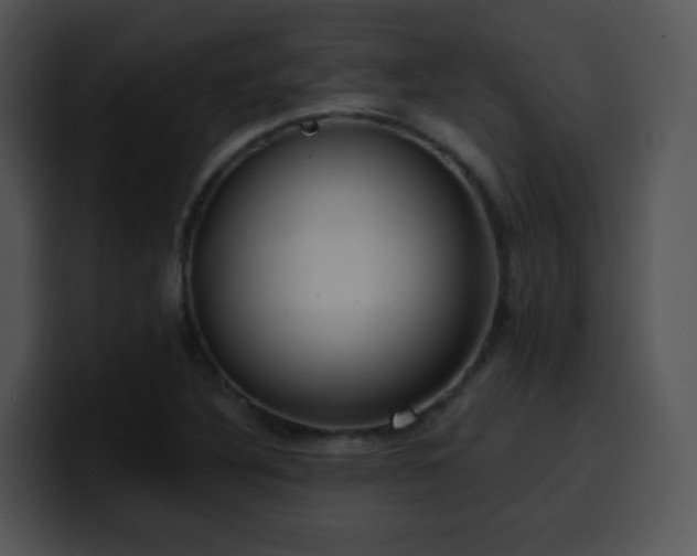 X0000100411316200806061333