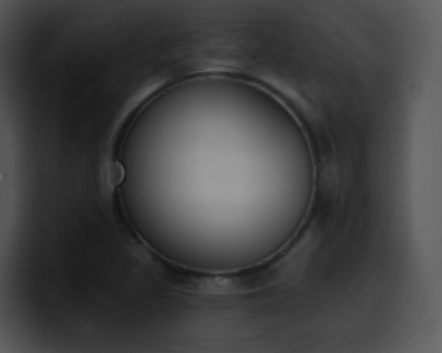 X0000100411317200806061333