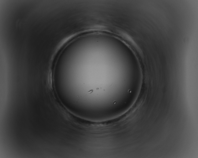 X0000100411320200806061333