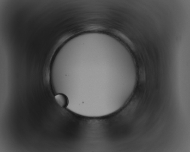 X0000100411322200806061333