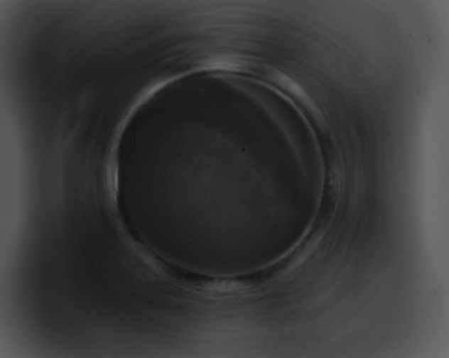 X0000100411323200806061333