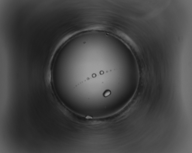 X0000100411324200806061333