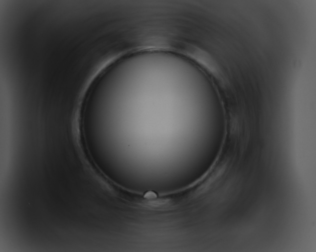 X0000100411325200806061333