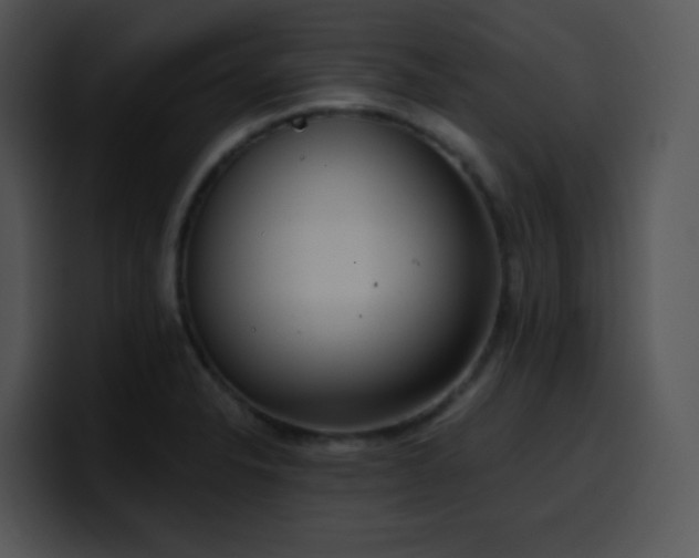 X0000100411326200806061333