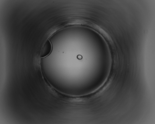 X0000100411329200806061333