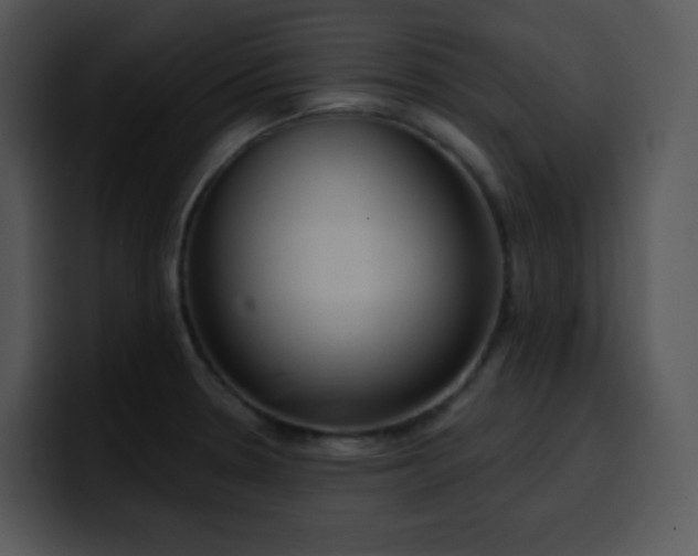 X0000100411330200806061333