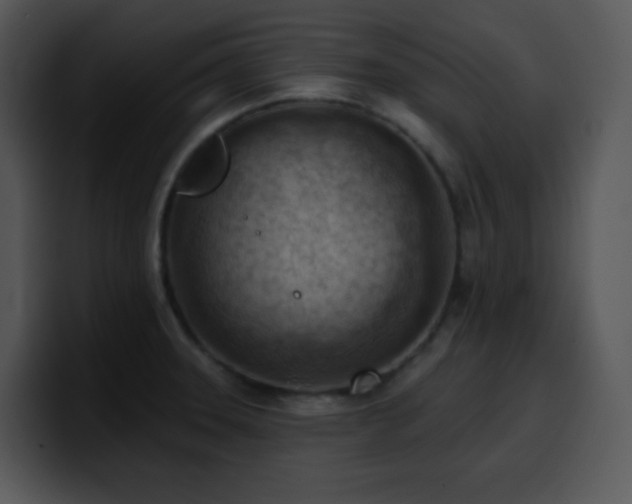 X0000100411331200806061333