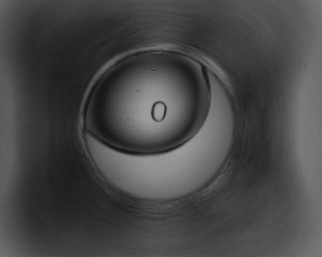 X0000100411332200806061333