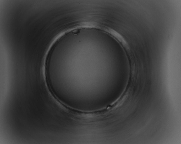 X0000100411334200806061333