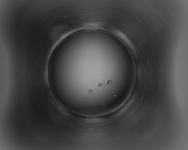 X0000100411336200806061333
