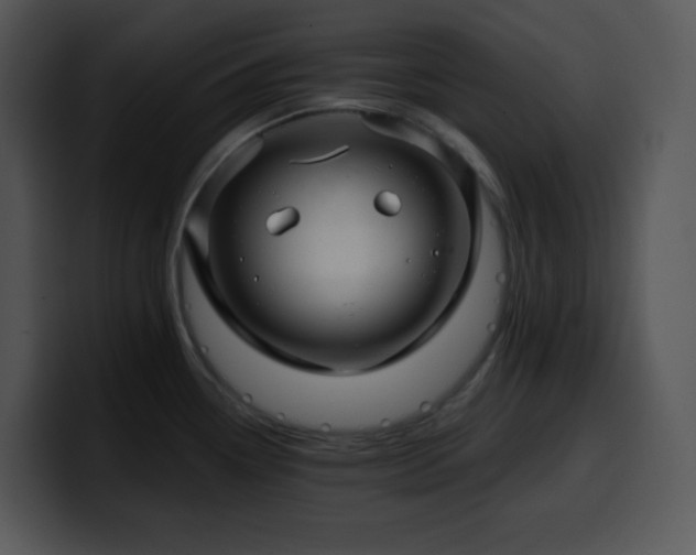 X0000100411338200806061333