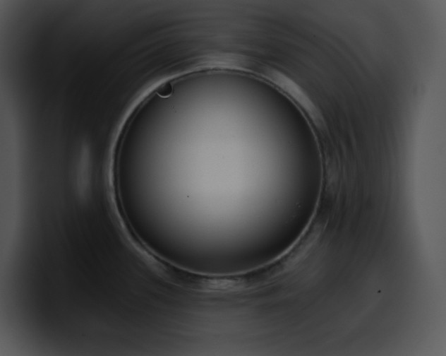 X0000100411339200806061333