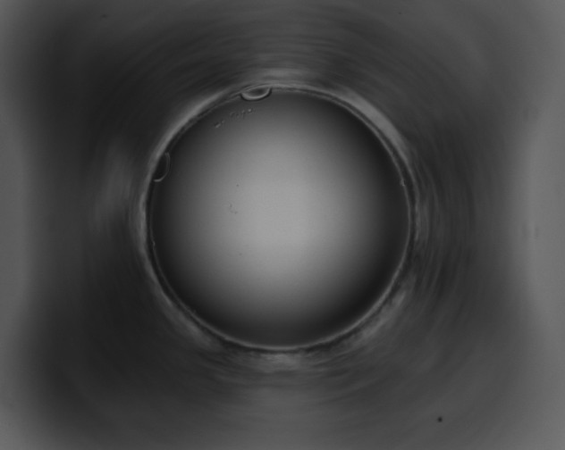 X0000100411341200806061333