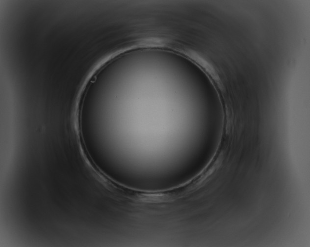 X0000100411342200806061333