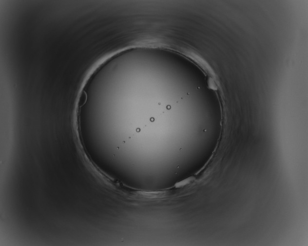 X0000100411344200806061333