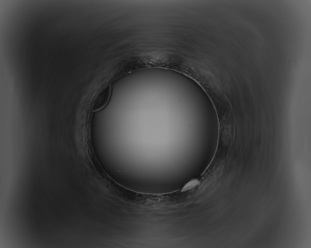 X0000100411345200806061332