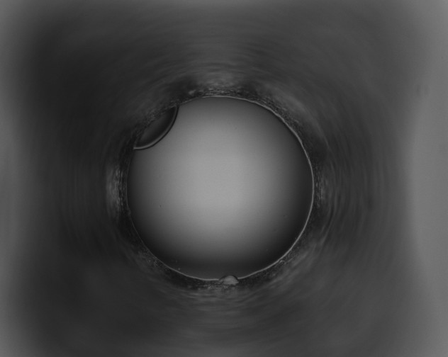 X0000100411346200806061332