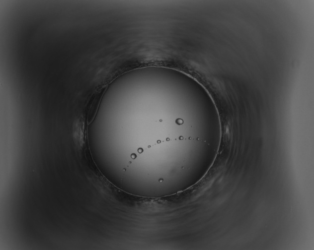 X0000100411348200806061332