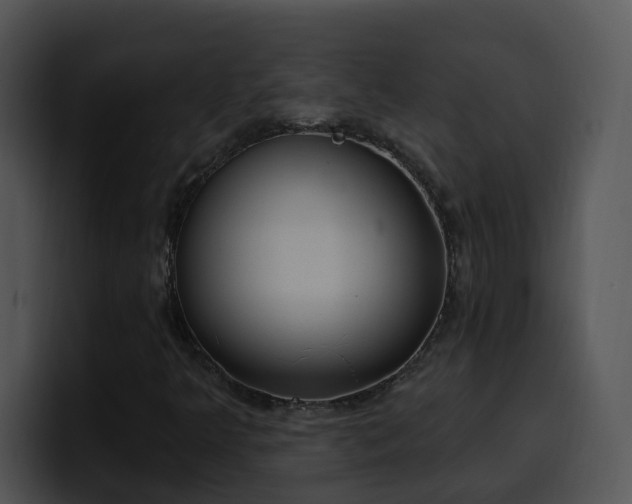 X0000100411349200806061332