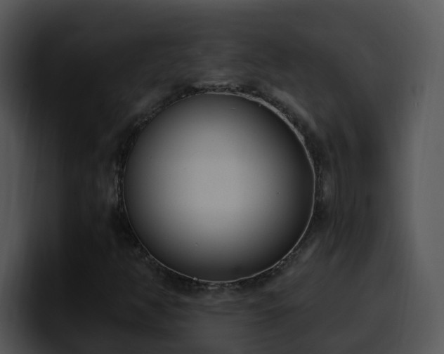 X0000100411350200806061332