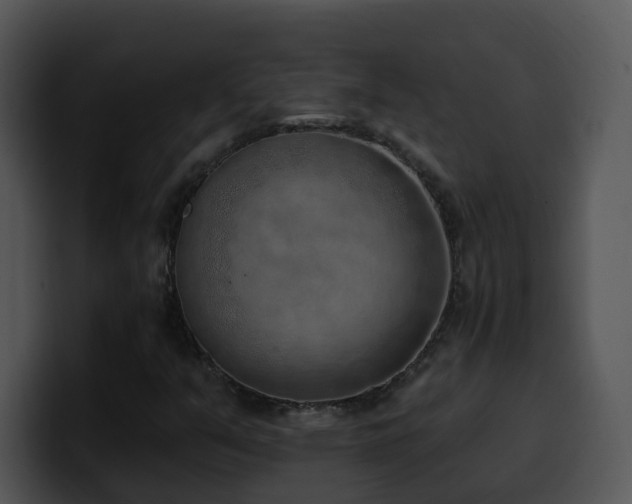 X0000100411351200806061332