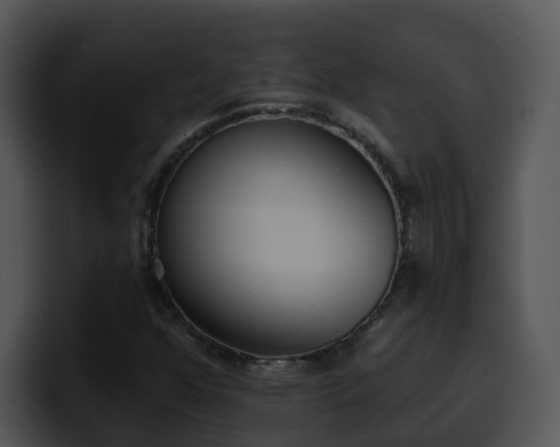 X0000100411352200806061332