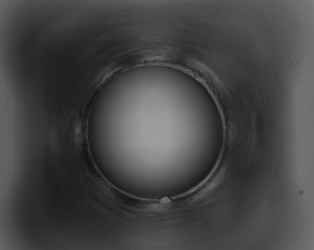 X0000100411353200806061332
