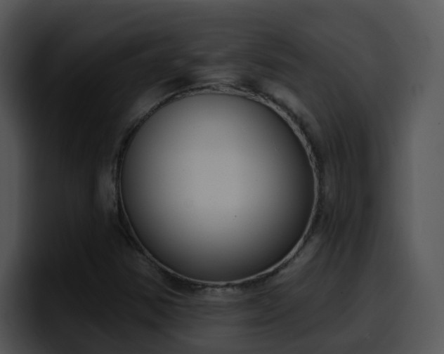 X0000100411354200806061332