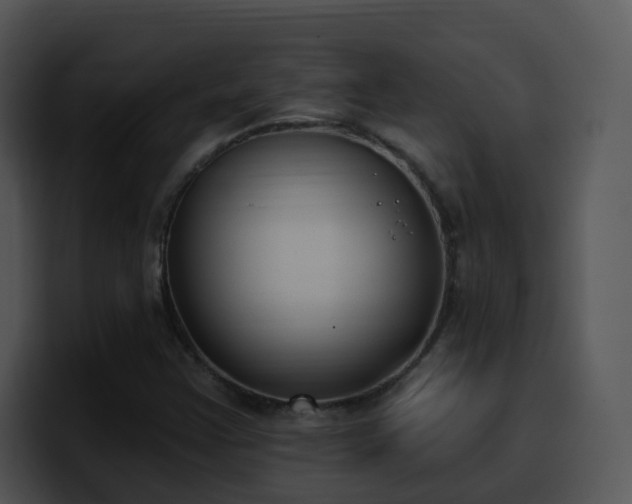 X0000100411355200806061332