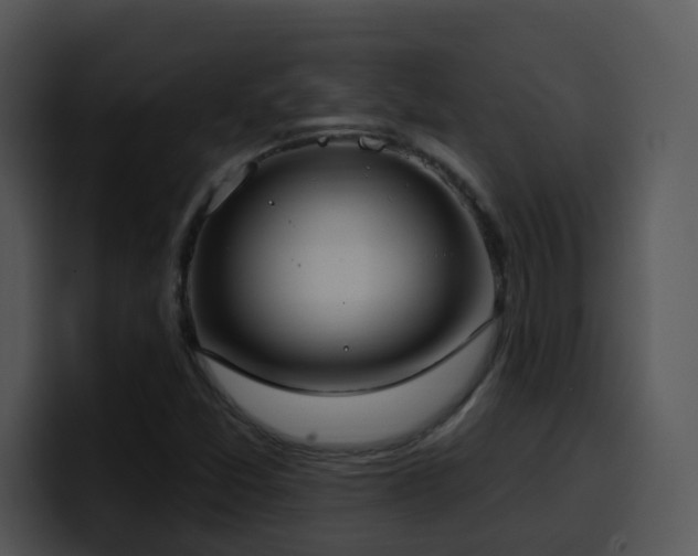 X0000100411357200806061332