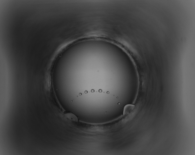 X0000100411358200806061332