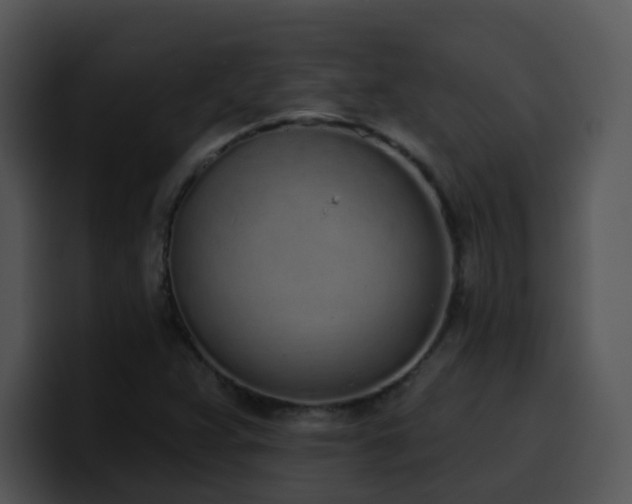 X0000100411359200806061332