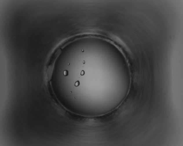 X0000100411360200806061332