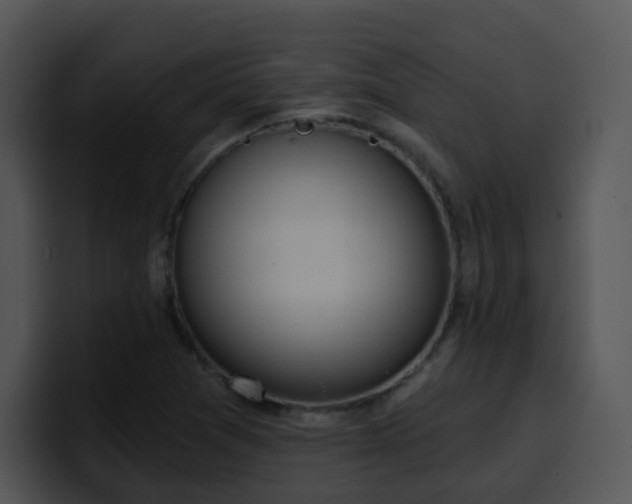 X0000100411361200806061332