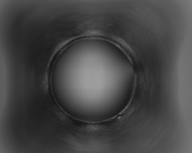 X0000100411364200806061332