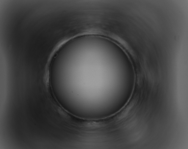 X0000100411366200806061332