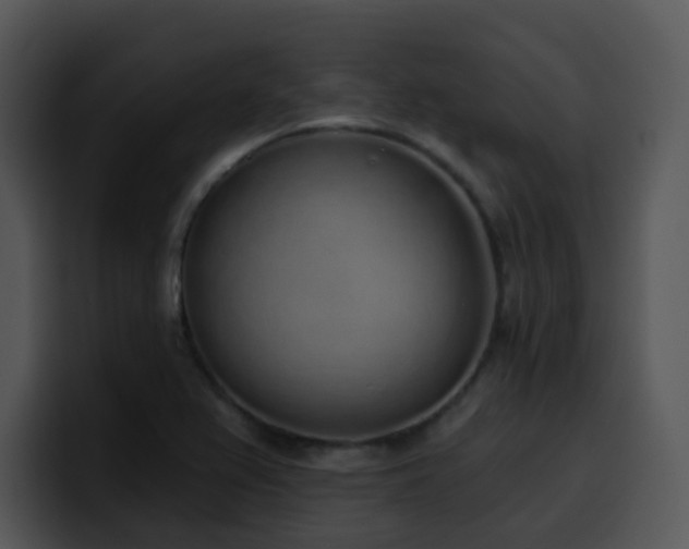 X0000100411367200806061332