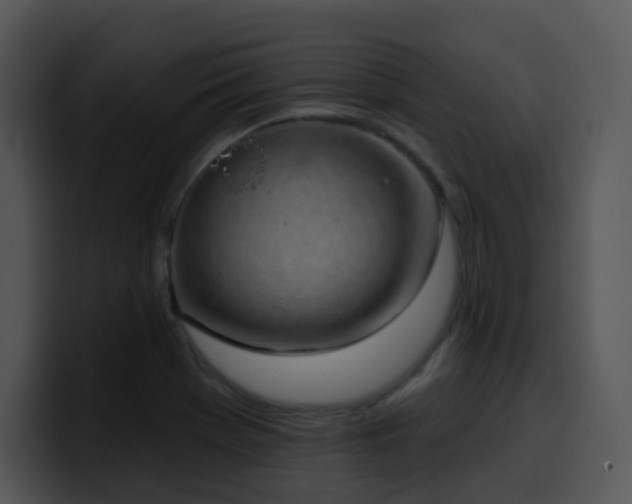 X0000100411369200806061332