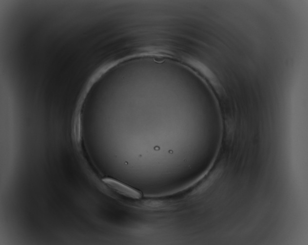 X0000100411371200806061332